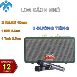 Loa karaoke nhỏ Ladomax HA-6210 dùng cho hát trong phòng và hát gia đình